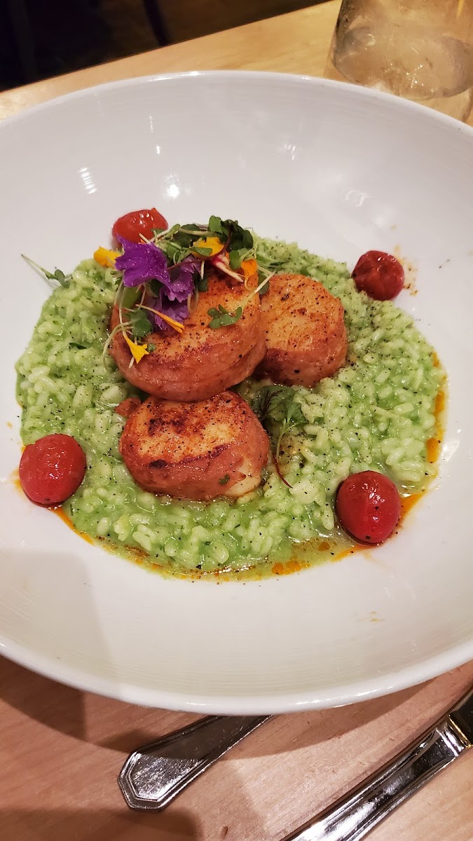 Cassariano Italian Eatery-7